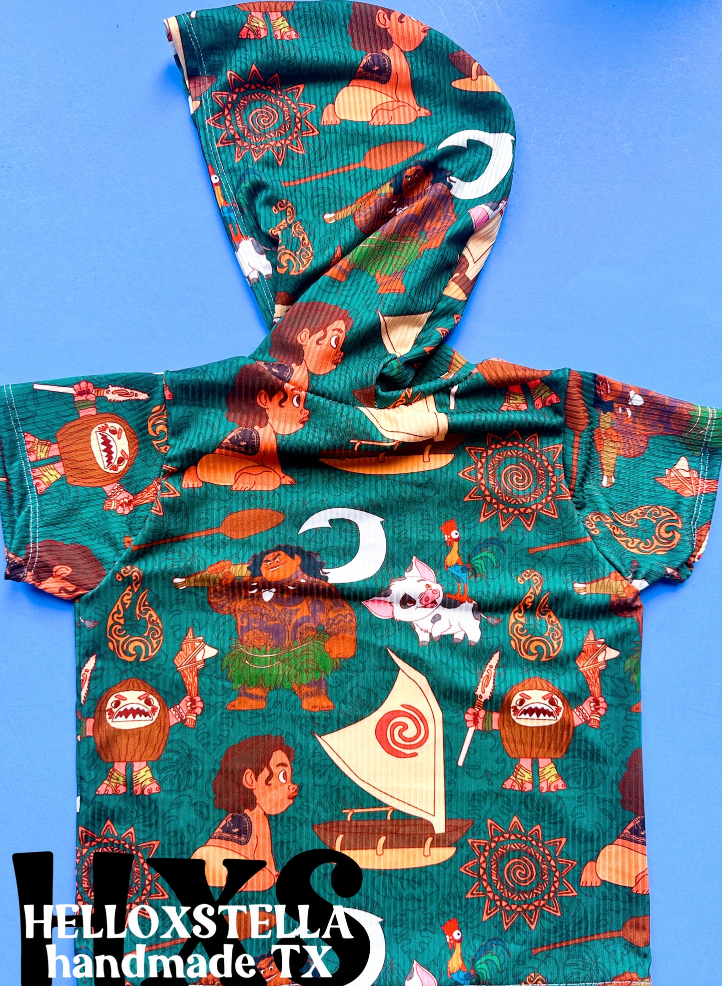 2T Boy Hoodie